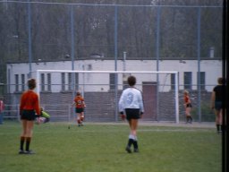 0DIA 1984 RAVA PUPS 1